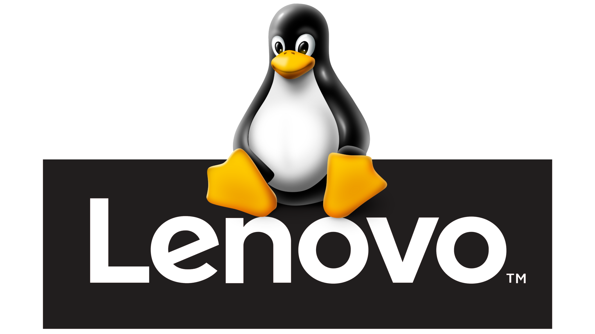 Lenovo не ставится linux